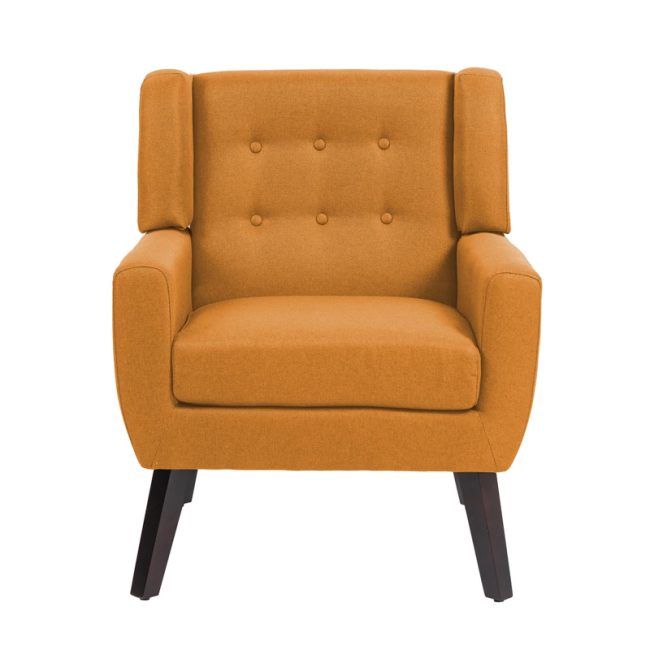 Button Tufted Modern Accent Chair Armchair