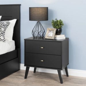 Milo Mid-Century Modern 2 Drawer Nightstand