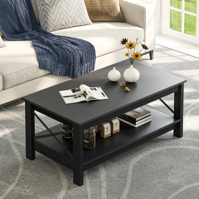 Modern coffee table with Storage 2-Tier