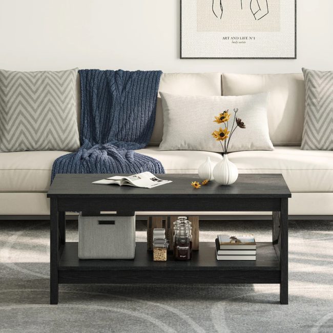 Modern coffee table with Storage 2-Tier