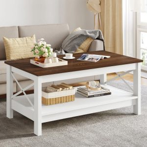 Modern coffee table with Storage 2-Tier