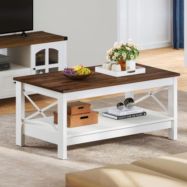 Modern coffee table with Storage 2-Tier