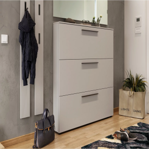 Modern Avery 3 Door Shoe Cabinet