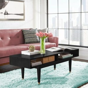 Purchase today Modern Coffee Table