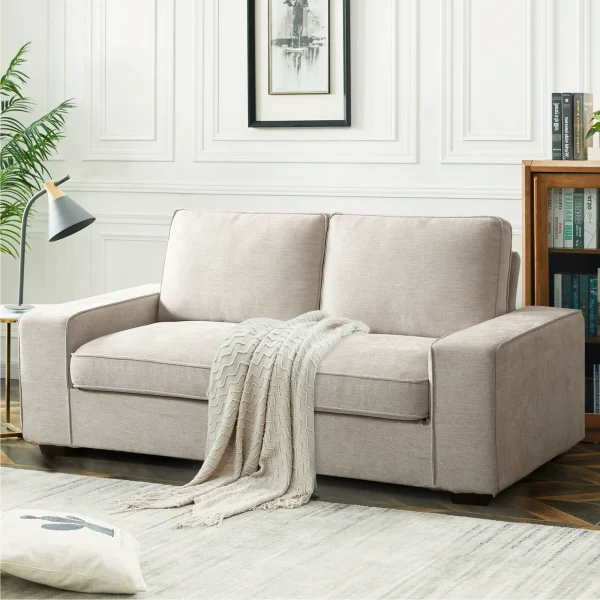 FSM Modern Loveseat Sofa for Living Room