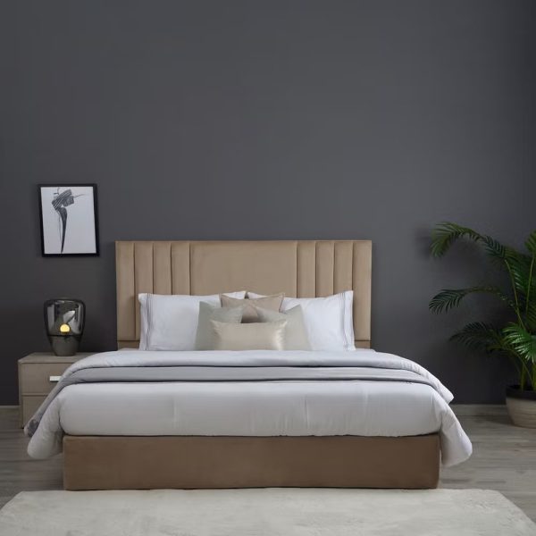 Polina Velvet Upholstered Queen Bed Velvet